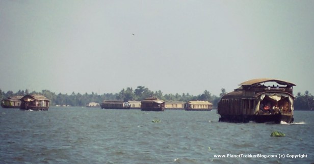 Houseboats everywhere