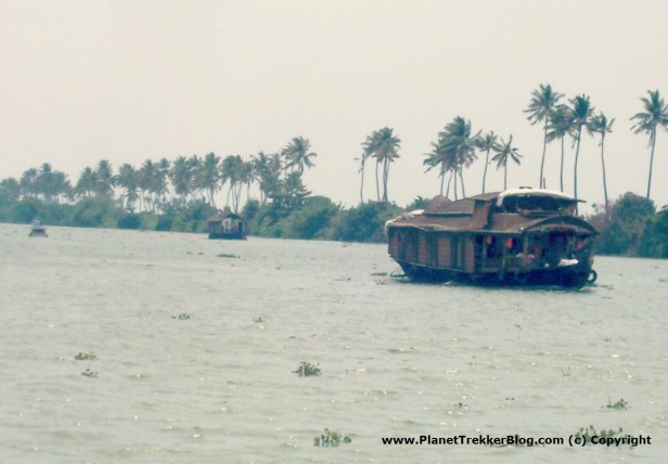 Houseboats wading through the backwaters