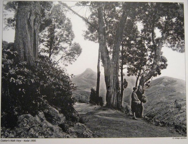 Kodai_Coakers_Walk_1900