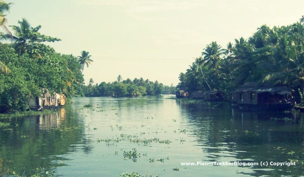 The network of canals