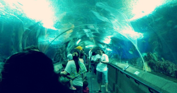Singapore Underwater World