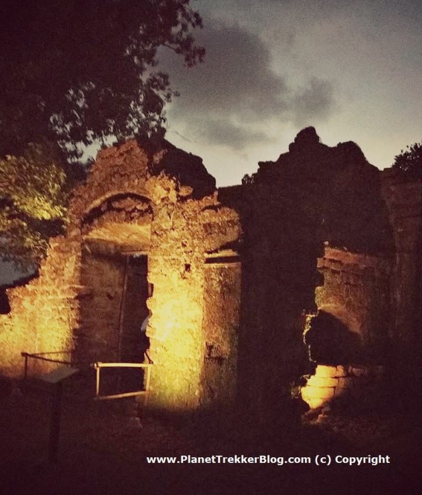 Grand Hyatt Goa - 22