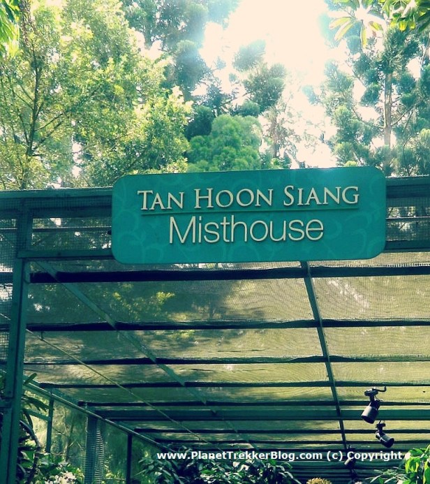 National Orchid Garden - 16