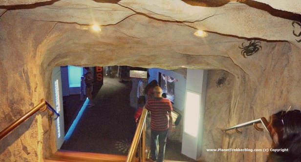 Underwater World - 1