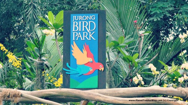 Jurong Bird Park 1