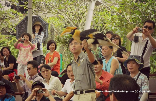 Jurong Bird Park 23