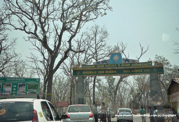 bangalore-to-ooty-15