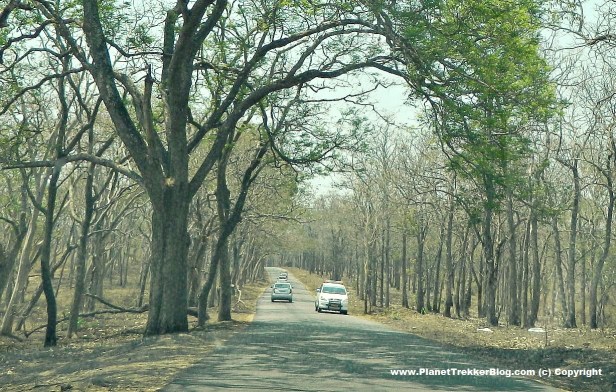 bangalore-to-ooty-17