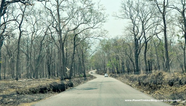 bangalore-to-ooty-18