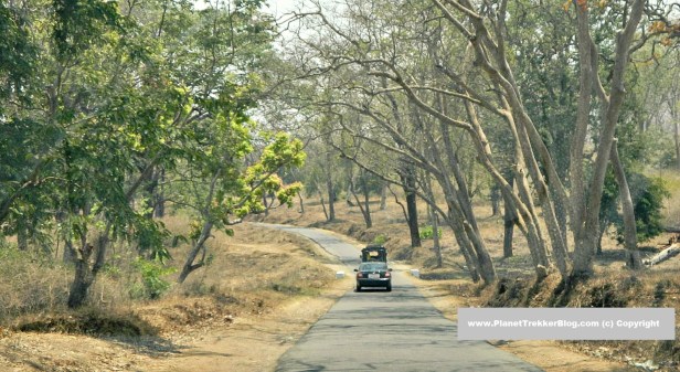 bangalore-to-ooty-20