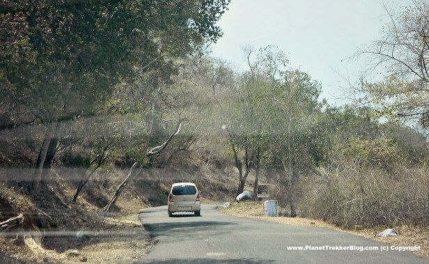 bangalore-to-ooty-22