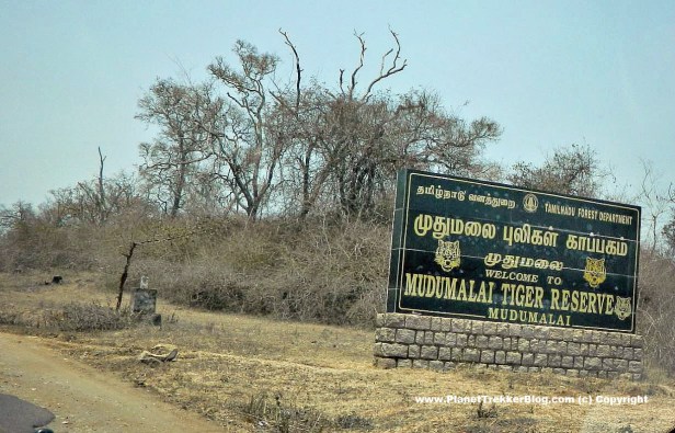 bangalore-to-ooty-25