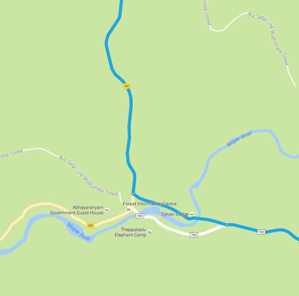 bangalore-to-ooty-29