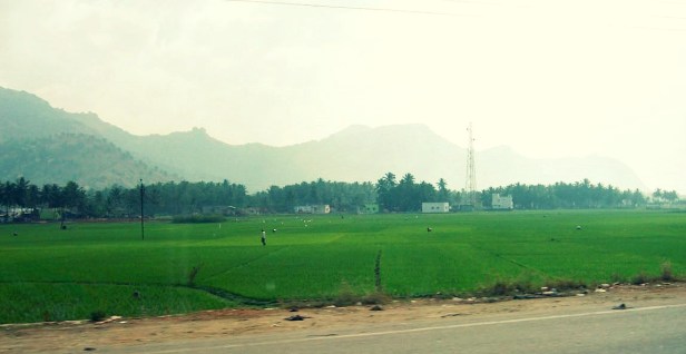 bangalore-to-kovalam1