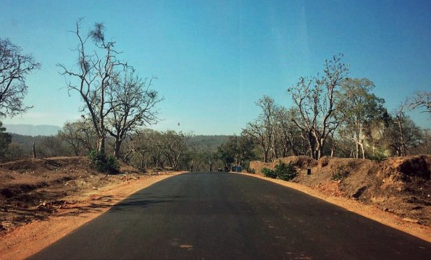 Bandipur Tiger Reserve