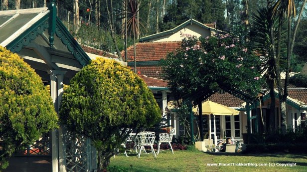 Zest Danish Villa 10