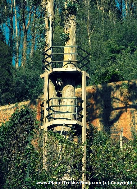 Zest Danish Villa 14