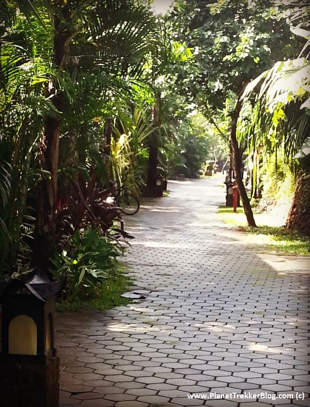 Vivanta By Taj - Bekal - 10